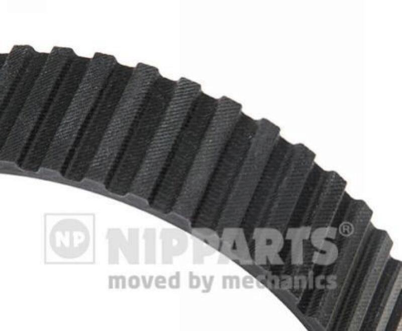 Timing Belt