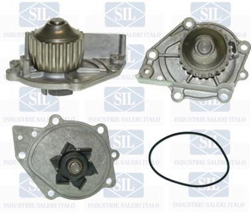 Saleri SIL Wasserpumpe