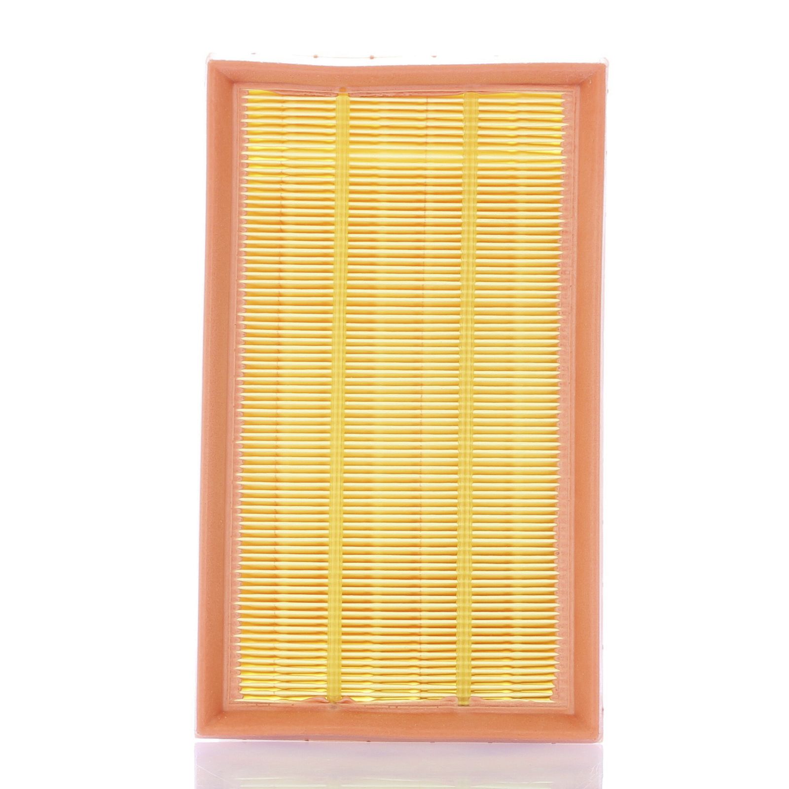 MANN-FILTER Luftfilter C 2485/2