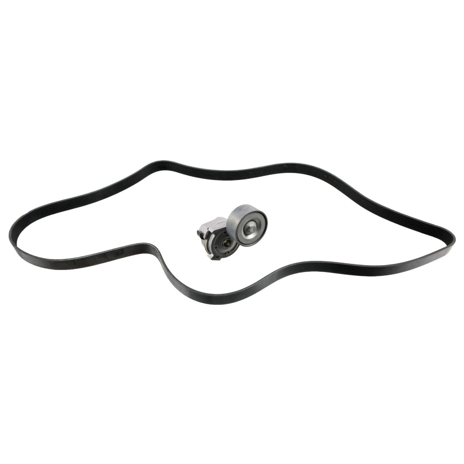 FEBI BILSTEIN V-Ribbed Belt Set