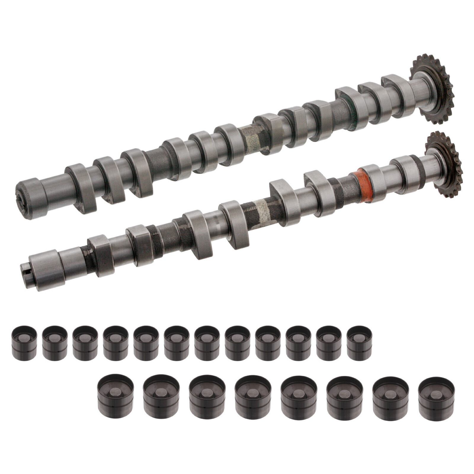 FEBI BILSTEIN Camshaft Kit