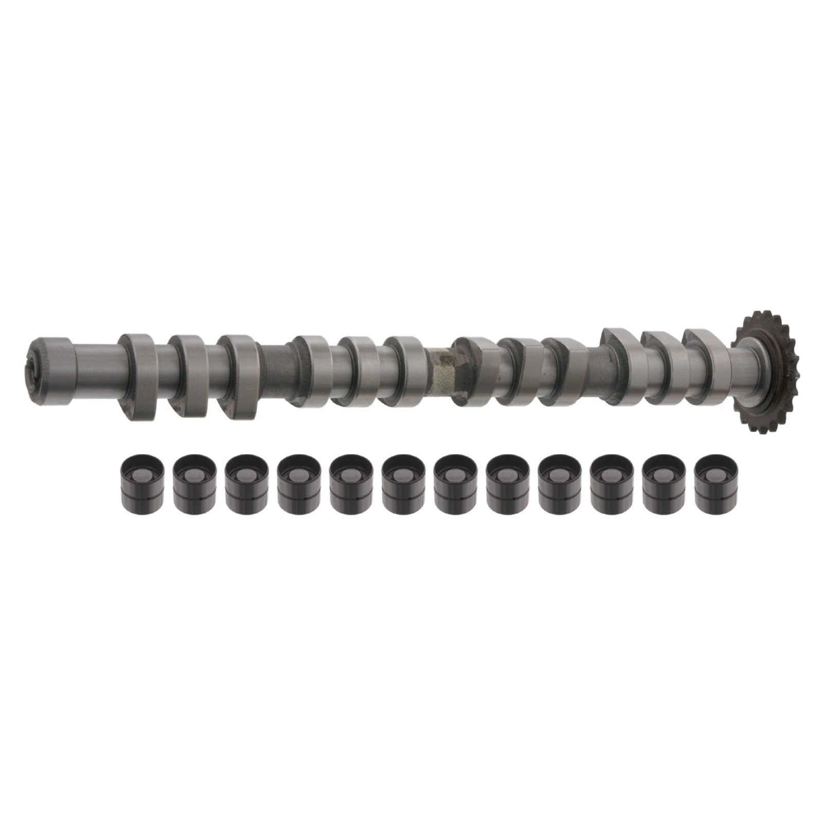 FEBI BILSTEIN Camshaft Kit