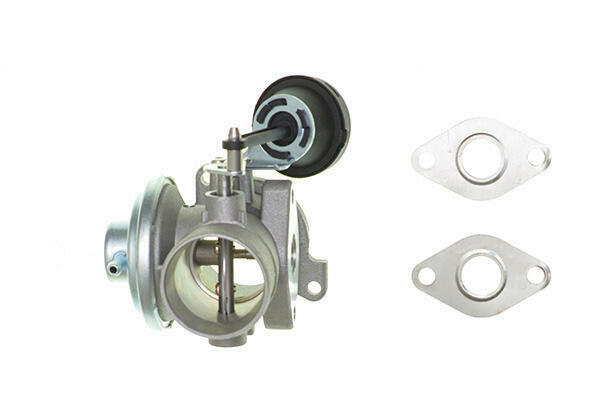 LRT EGR Valve