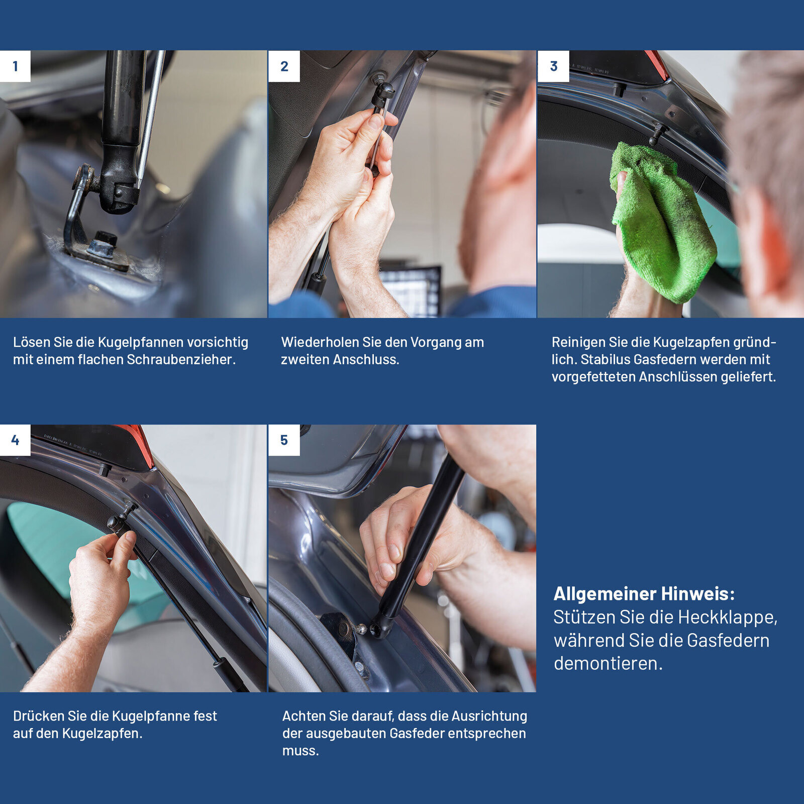 2x Stabilus Gasfeder