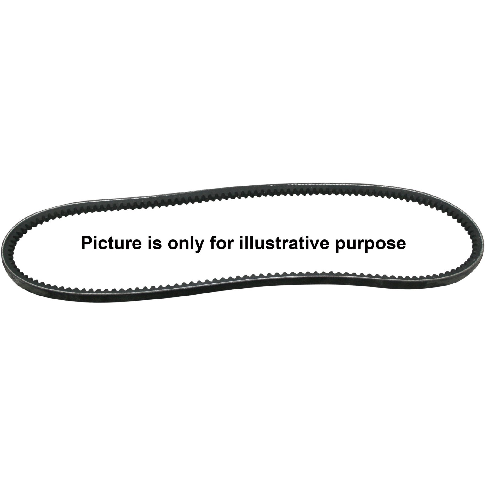 JP GROUP V-Belt OPTIBELT