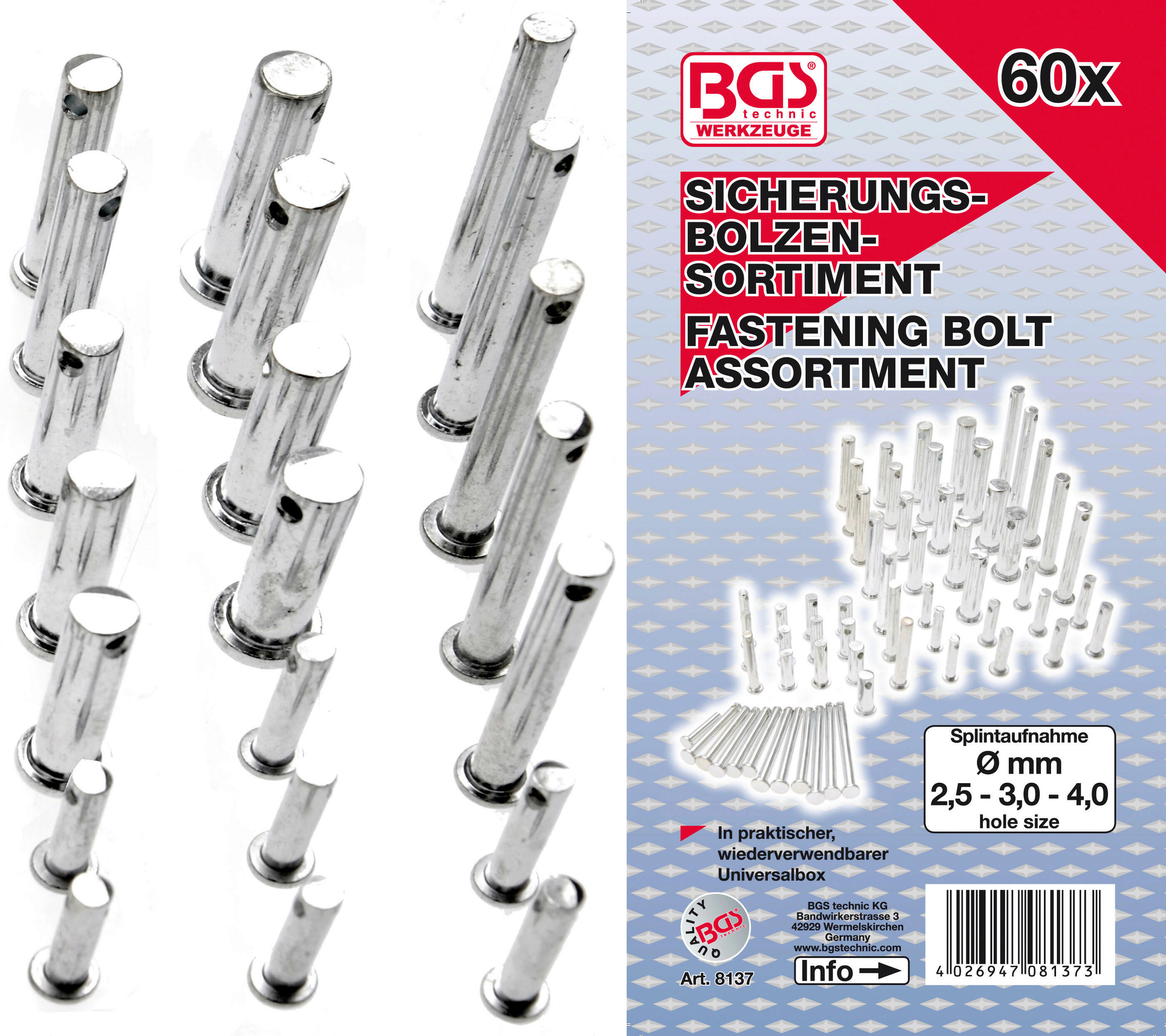 Sicherungsbolzen-Sortiment | 60-tlg.