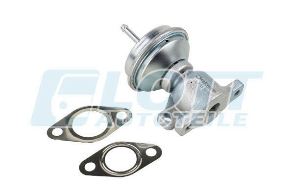 EGR Valve