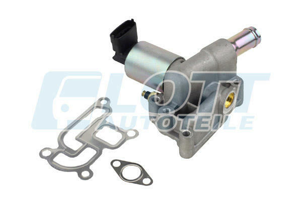 EGR Valve