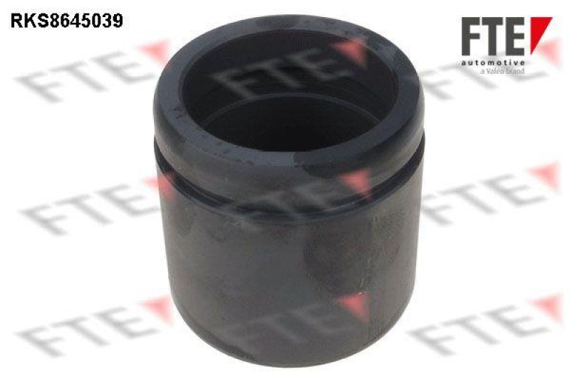 FTE Piston, brake caliper