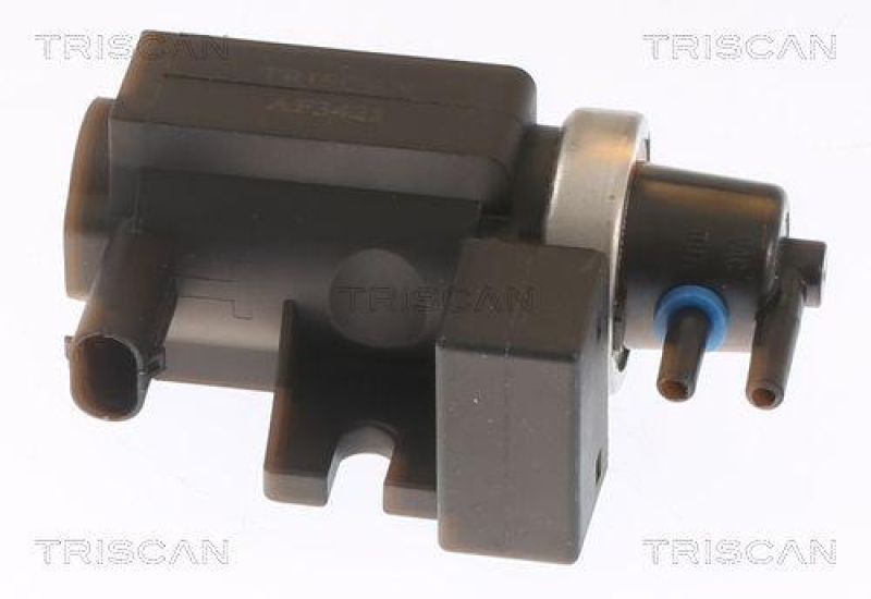TRISCAN Druckwandler, Abgassteuerung