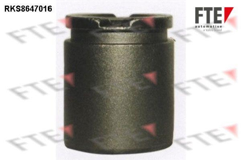 FTE Piston, brake caliper
