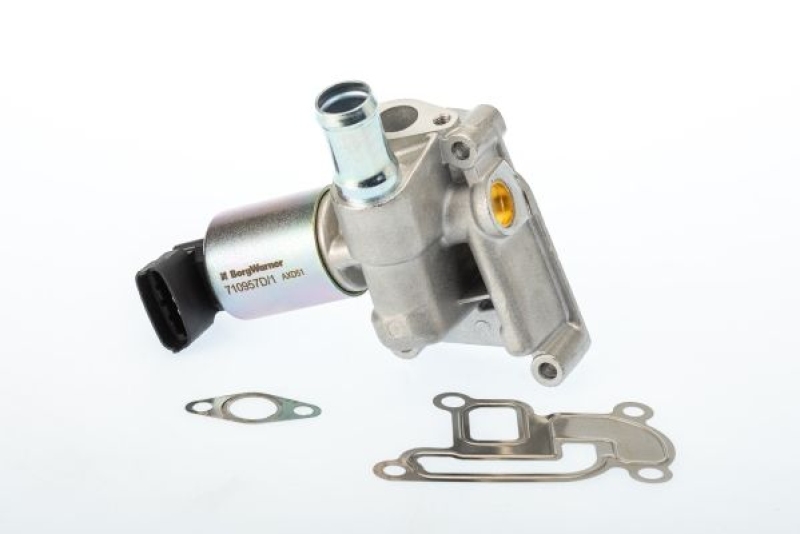 BorgWarner (Wahler) EGR Valve