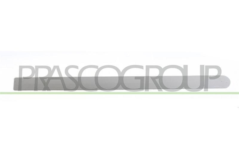 PRASCO Zier-/Schutzleiste, Tür