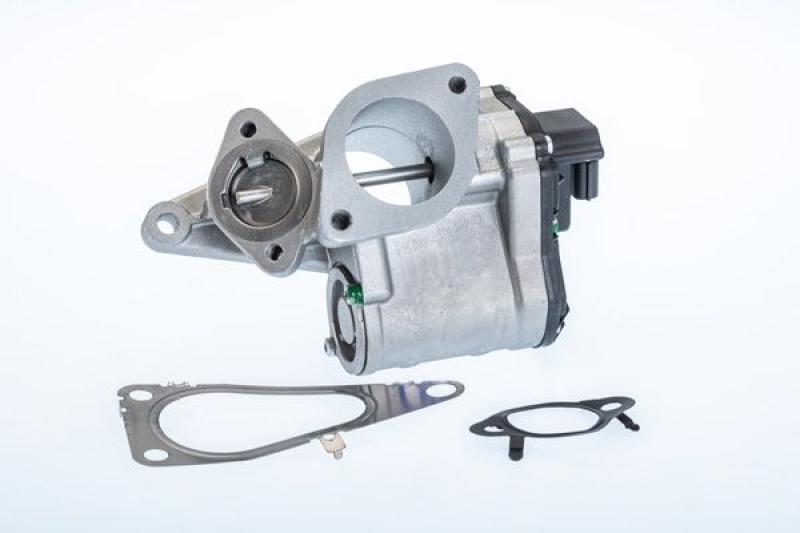BorgWarner (Wahler) EGR Valve