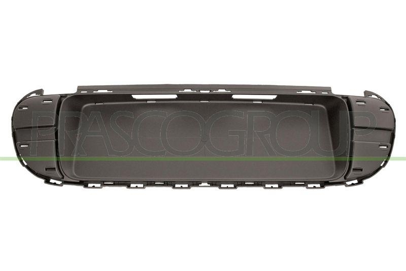 Licence Plate Holder