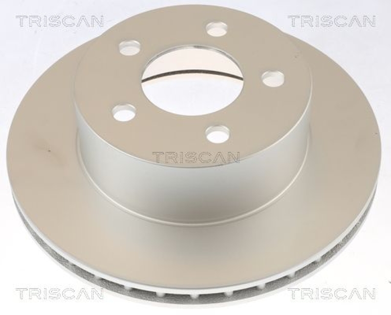 2x TRISCAN Brake Disc