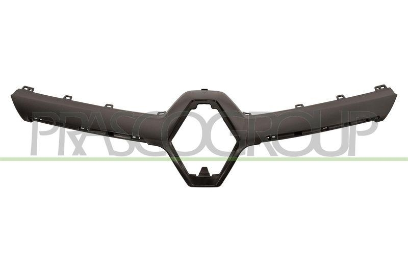 Trim/Protective Strip, radiator grille