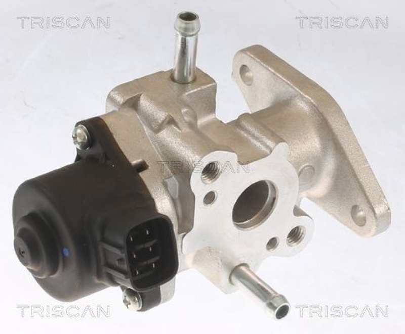 TRISCAN EGR Valve