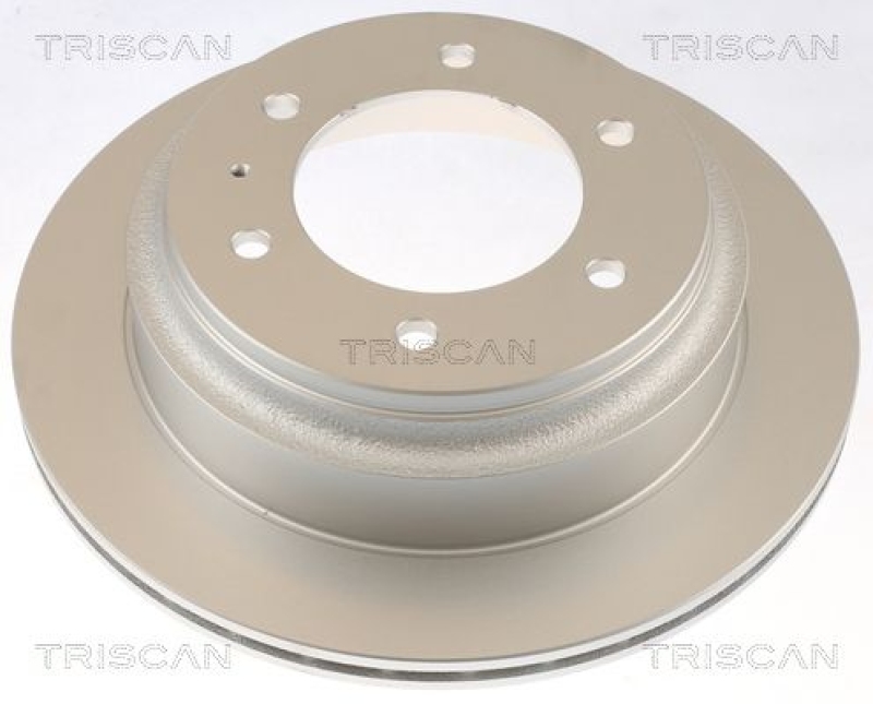 2x TRISCAN Brake Disc