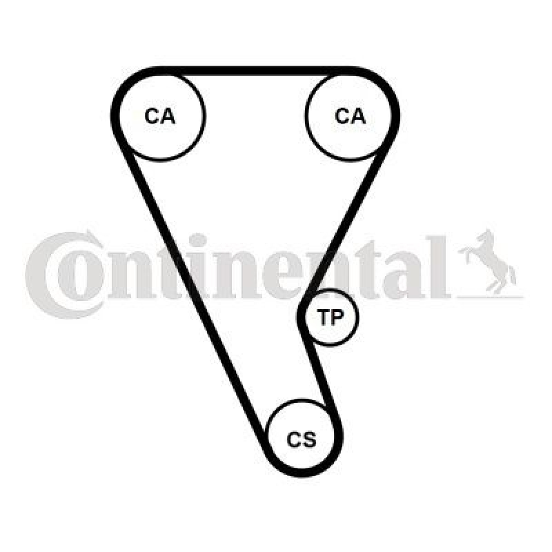 CONTINENTAL CTAM Zahnriemen