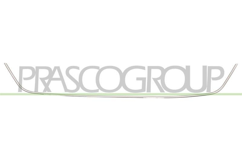 PRASCO Zier-/Schutzleiste, Sto&szlig;f&auml;nger RN4282305