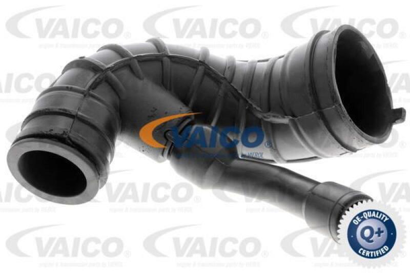 VAICO Intake Hose, air filter Q+, original equipment manufacturer quality