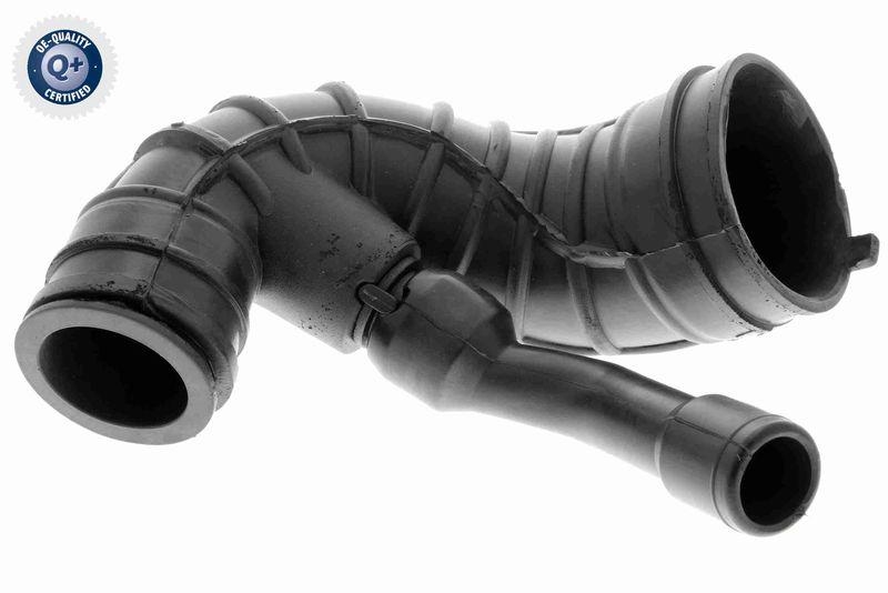 VAICO Intake Hose, air filter Q+, original equipment manufacturer quality
