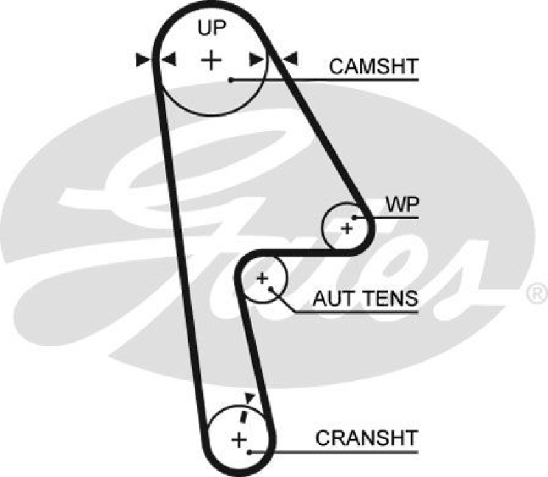 GATES Zahnriemen RPM™ Racing Timing Belt