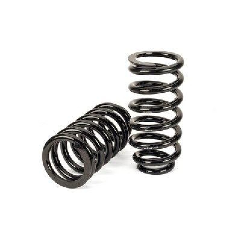 Arnott Suspension kit, springs
