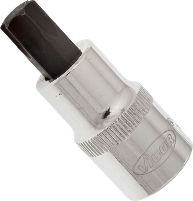 VIGOR Socket