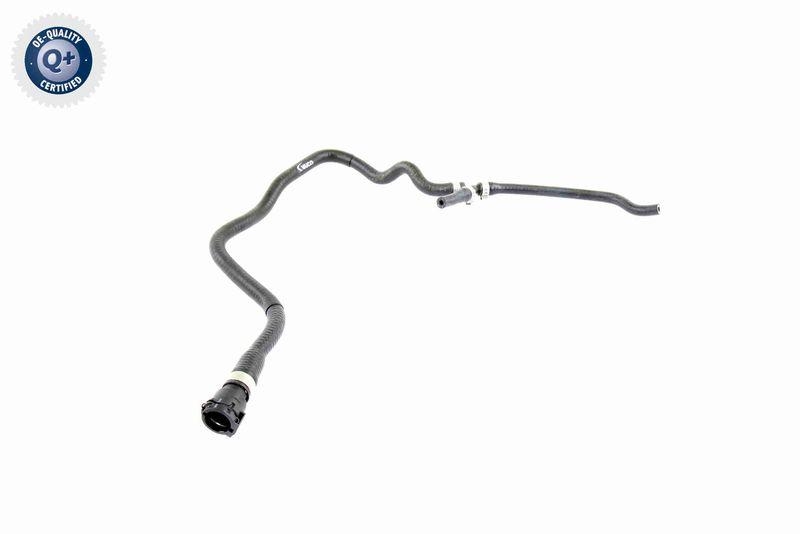 VAICO K&uuml;hlerschlauch Q+, Erstausr&uuml;sterqualit&auml;t V20-0885