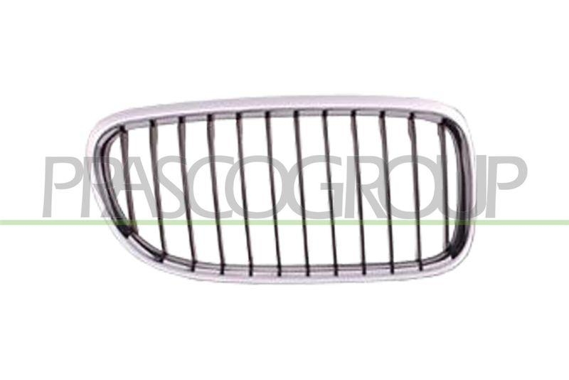 Radiator Grille Premium