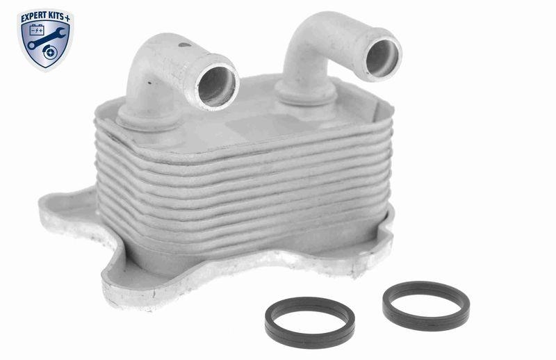 VEMO Ölkühler, Motoröl EXPERT KITS +