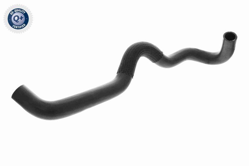 VAICO K&uuml;hlerschlauch Q+, Erstausr&uuml;sterqualit&auml;t V22-1169