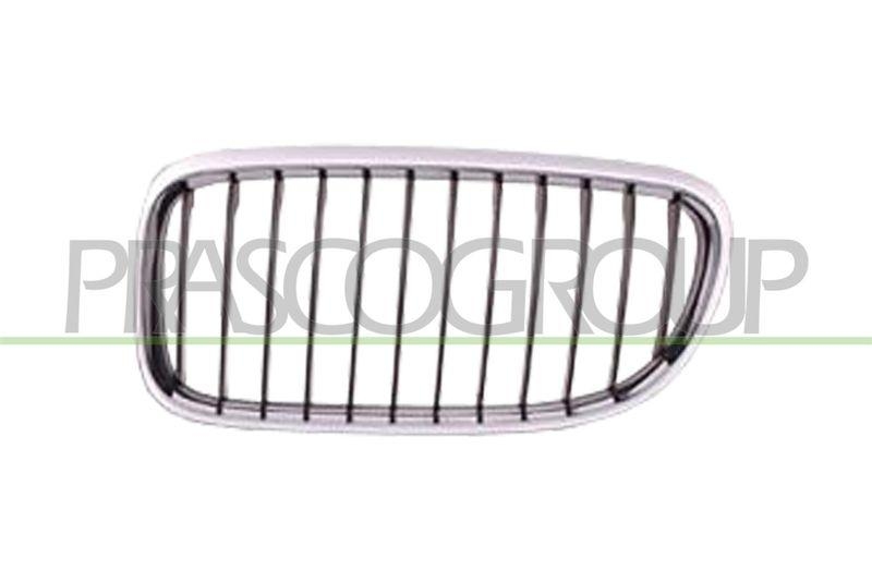 Radiator Grille Premium