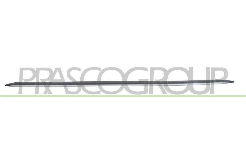 PRASCO Einstiegsleiste