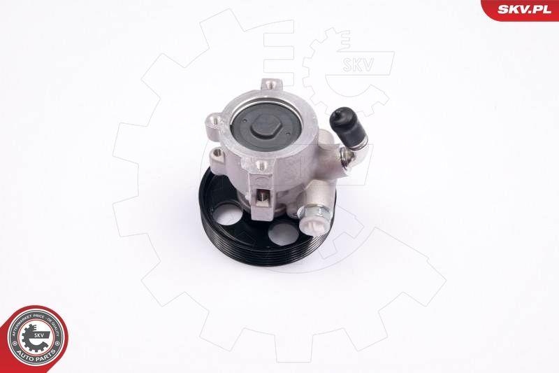 ESEN SKV Hydraulikpumpe, Lenkung