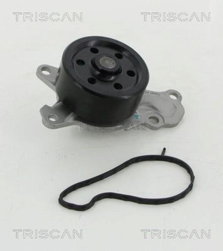 TRISCAN Wasserpumpe 8600 10039