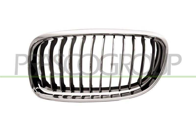 Radiator Grille Premium