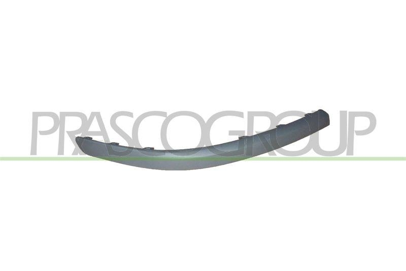 Trim/Protective Strip, bumper