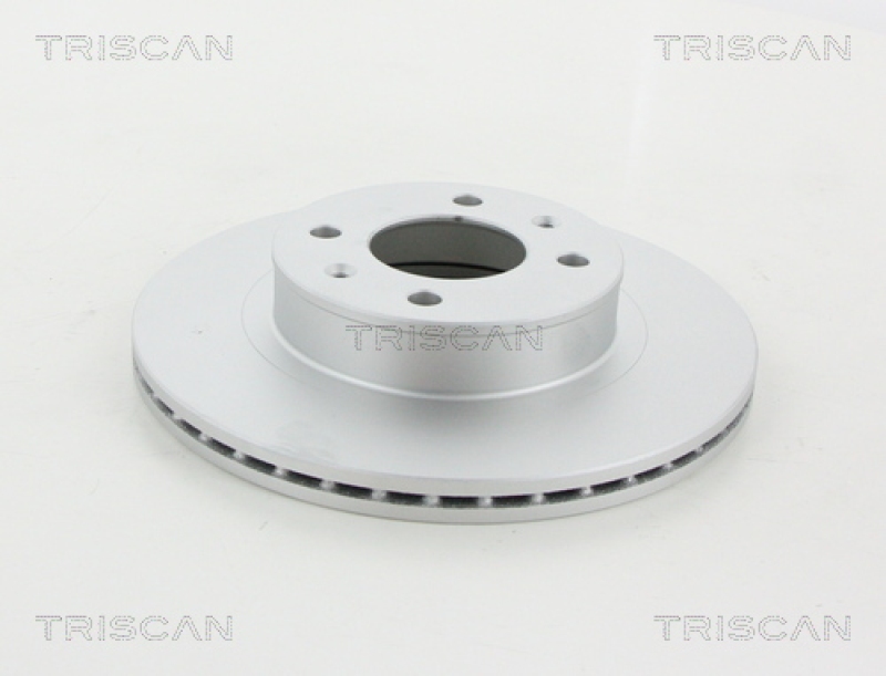 2x TRISCAN Brake Disc