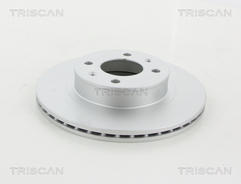 2x TRISCAN Brake Disc