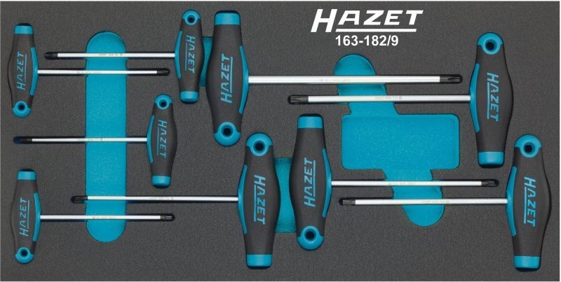 HAZET Screwdriver Set