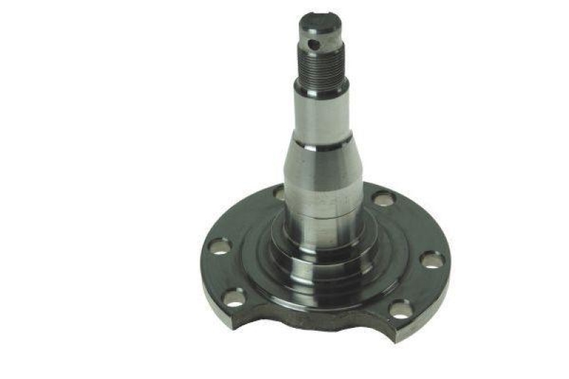 AUTOMEGA Achszapfen, Achsk&ouml;rper