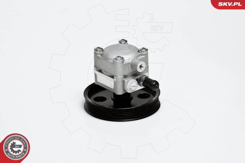 ESEN SKV Hydraulikpumpe, Lenkung
