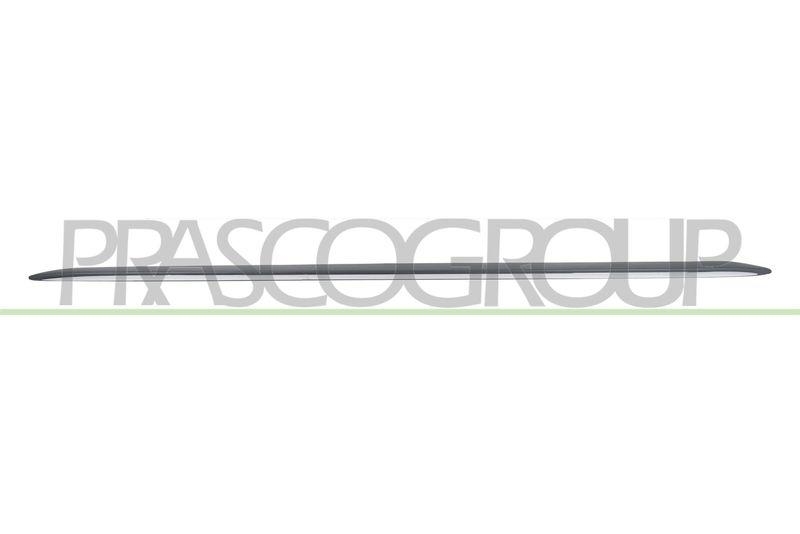PRASCO Einstiegsleiste