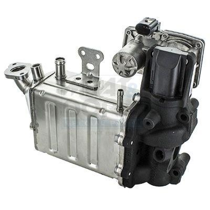 MEAT & DORIA EGR Valve