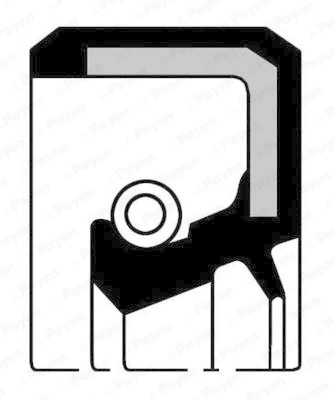 PAYEN Shaft Seal, crankshaft