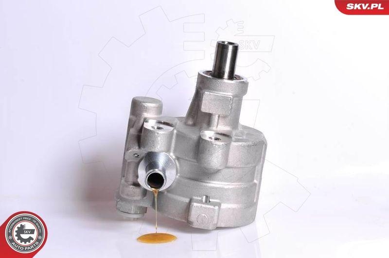 ESEN SKV Hydraulikpumpe, Lenkung