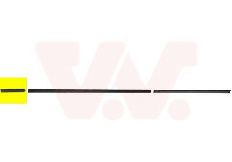 VAN WEZEL Trim/Protective Strip, wing